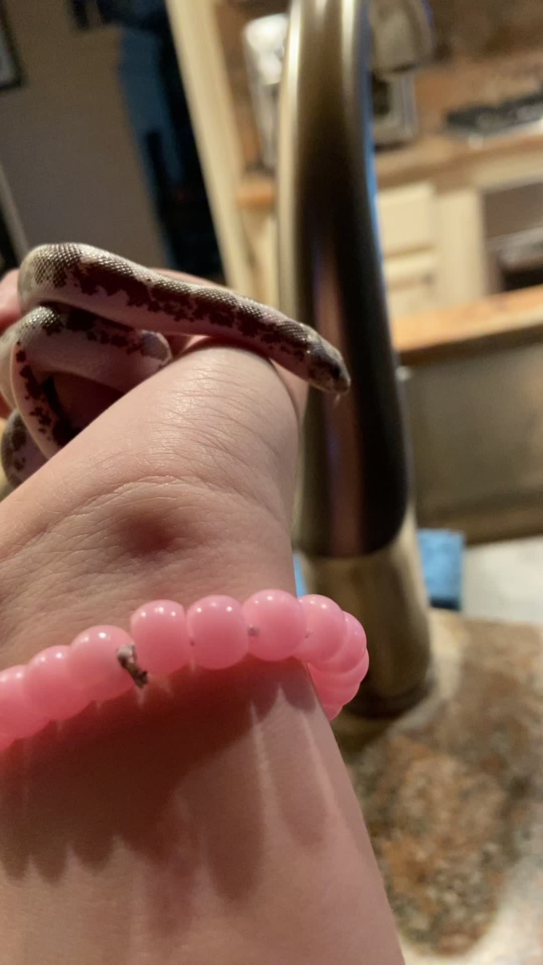@Tortellini