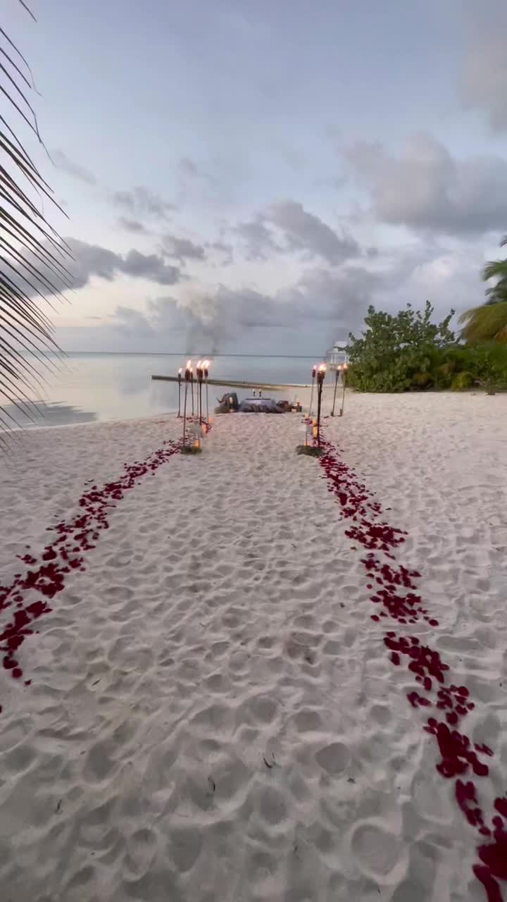 @Graze Girl Cayman