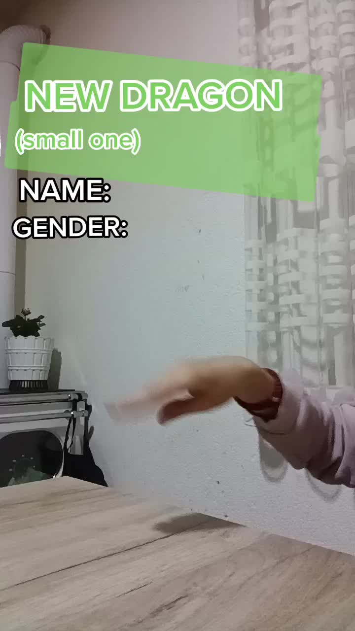 @🪳