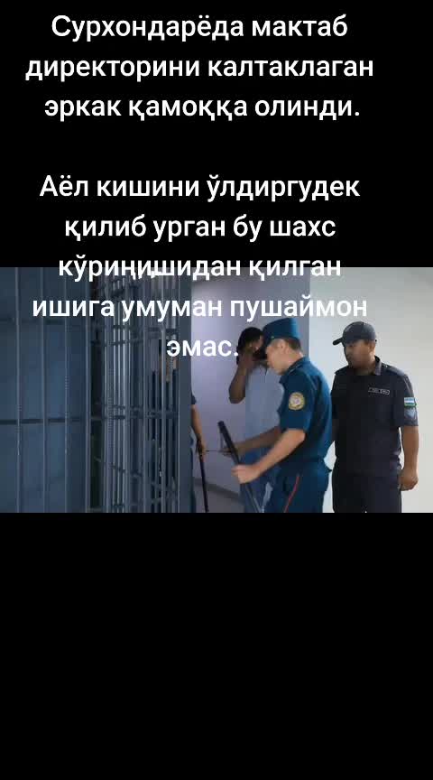@vodiy_baozar