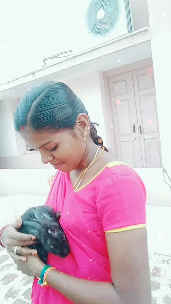 @நித்திஷ் வரன் 786