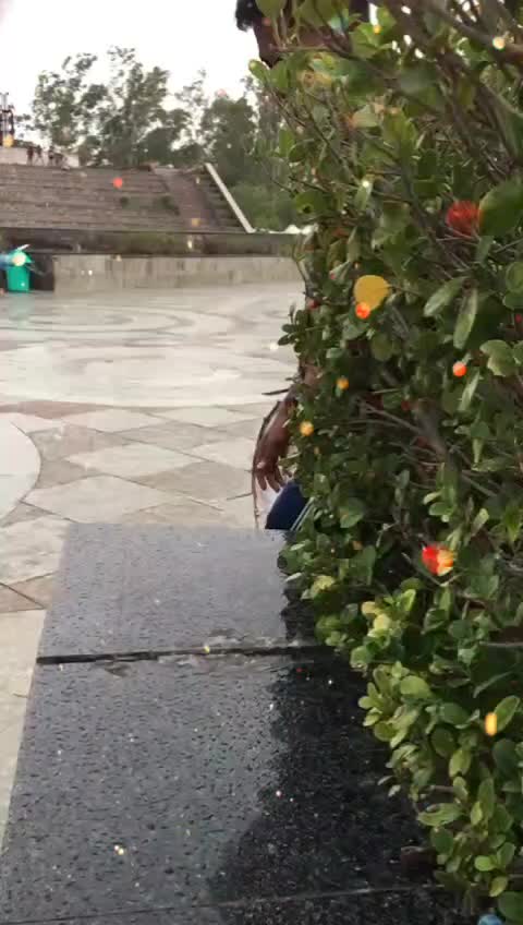 @J&atilde;v&euml;d_L&eacute;&egrave;_2.0