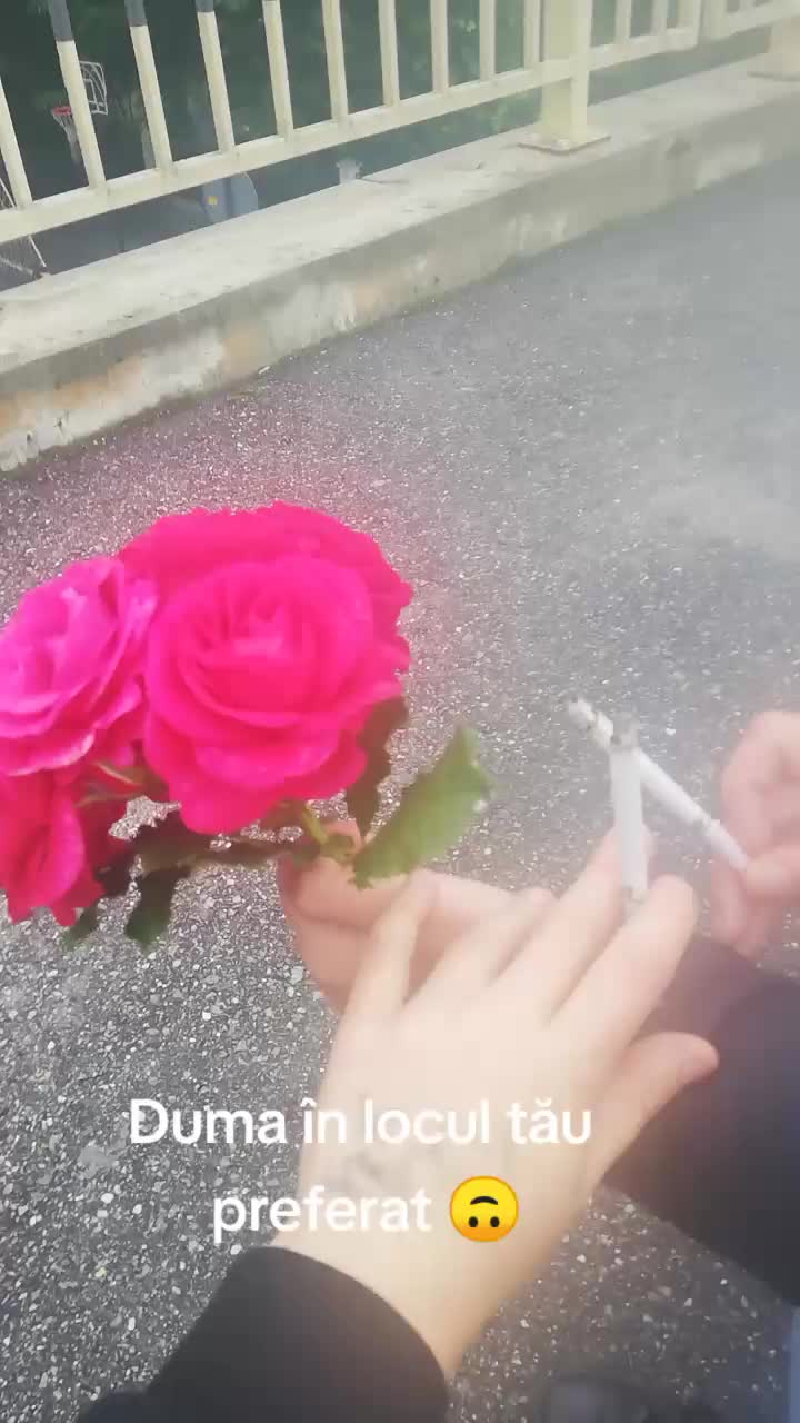 @pitica ta