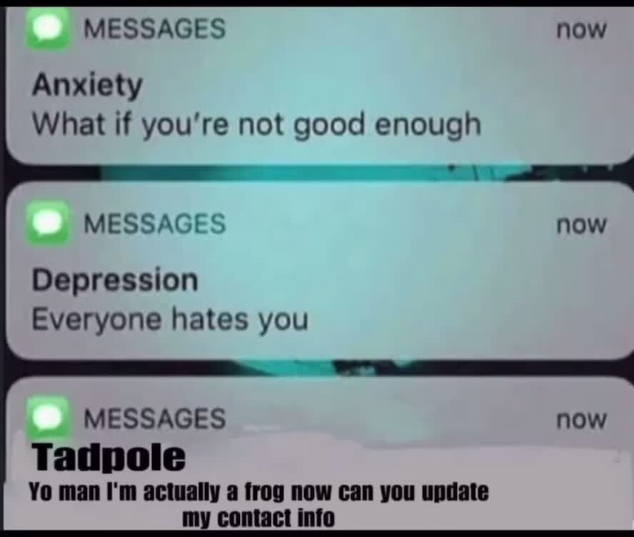 @Daily Meme Servant