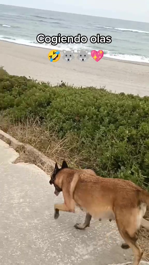 @carmenclaudiajr