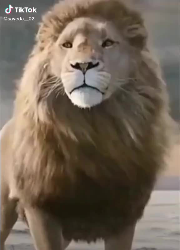 @Yaju Bajpai