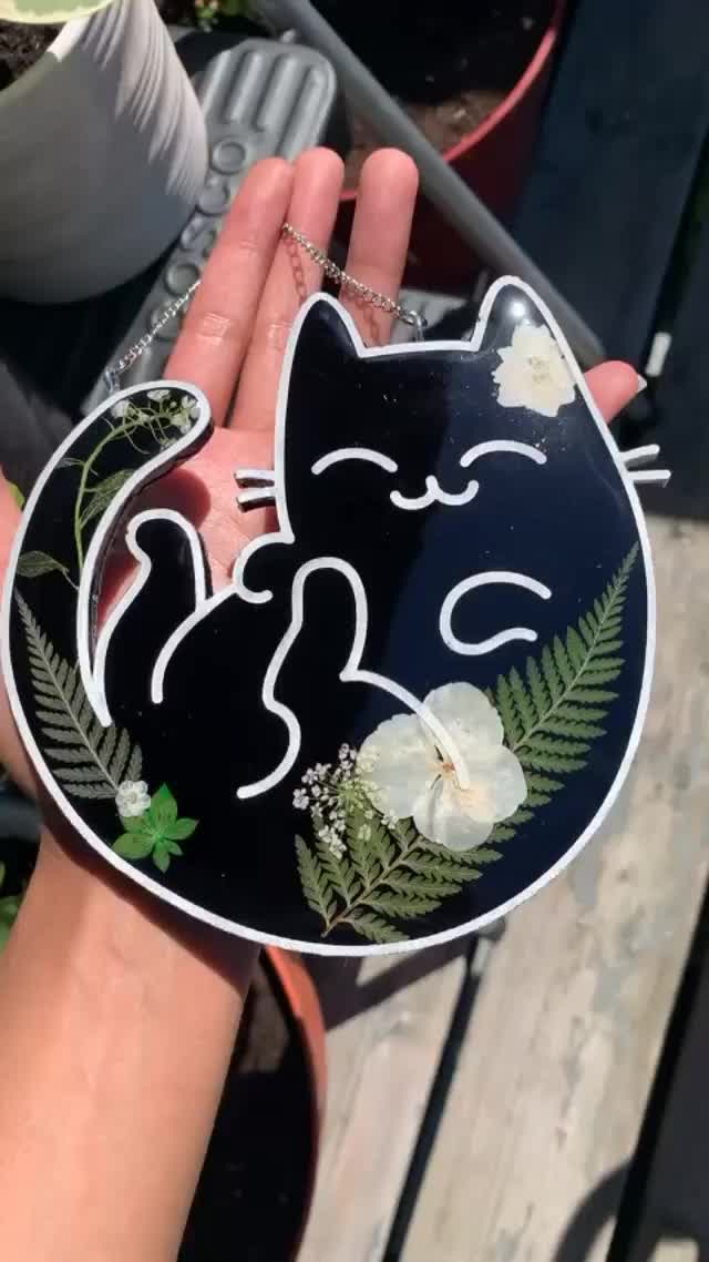 @squidpoxy