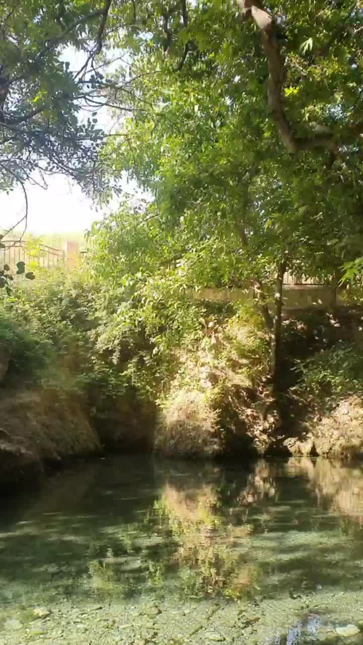 @fazl1dd1n_929_