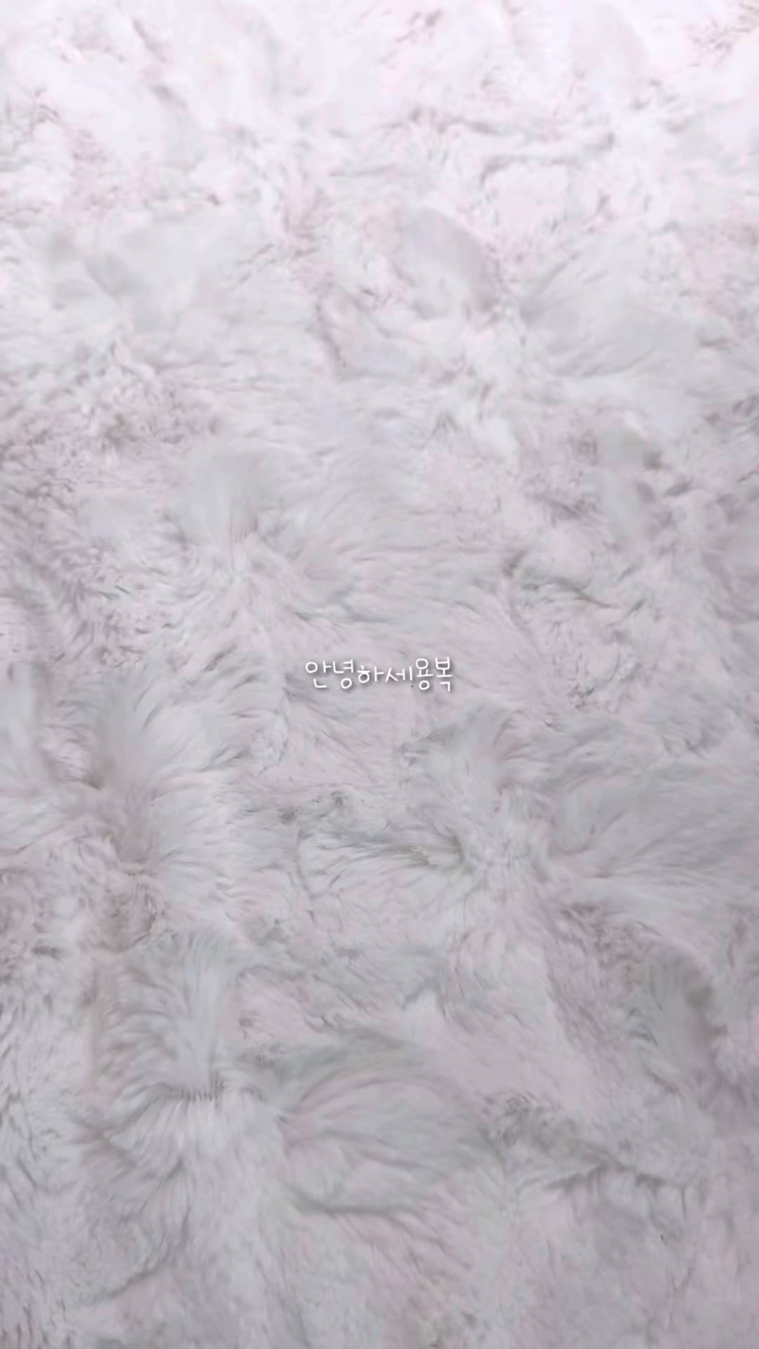 @말랑복뚱
