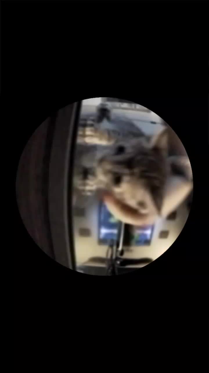 @lackis_102