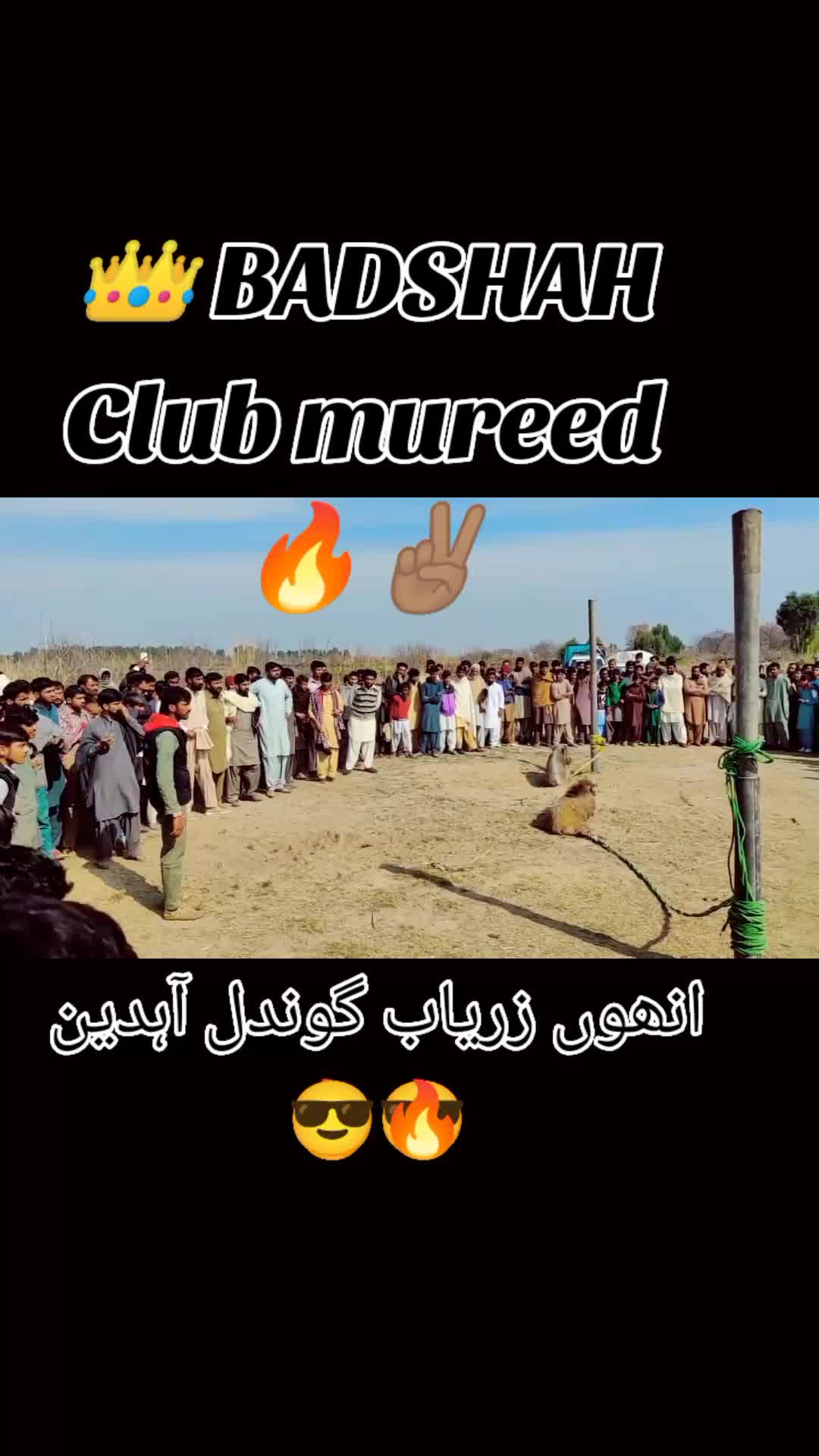 @👑 بادشاہ شکار کلب مرید 🔥✌🏽