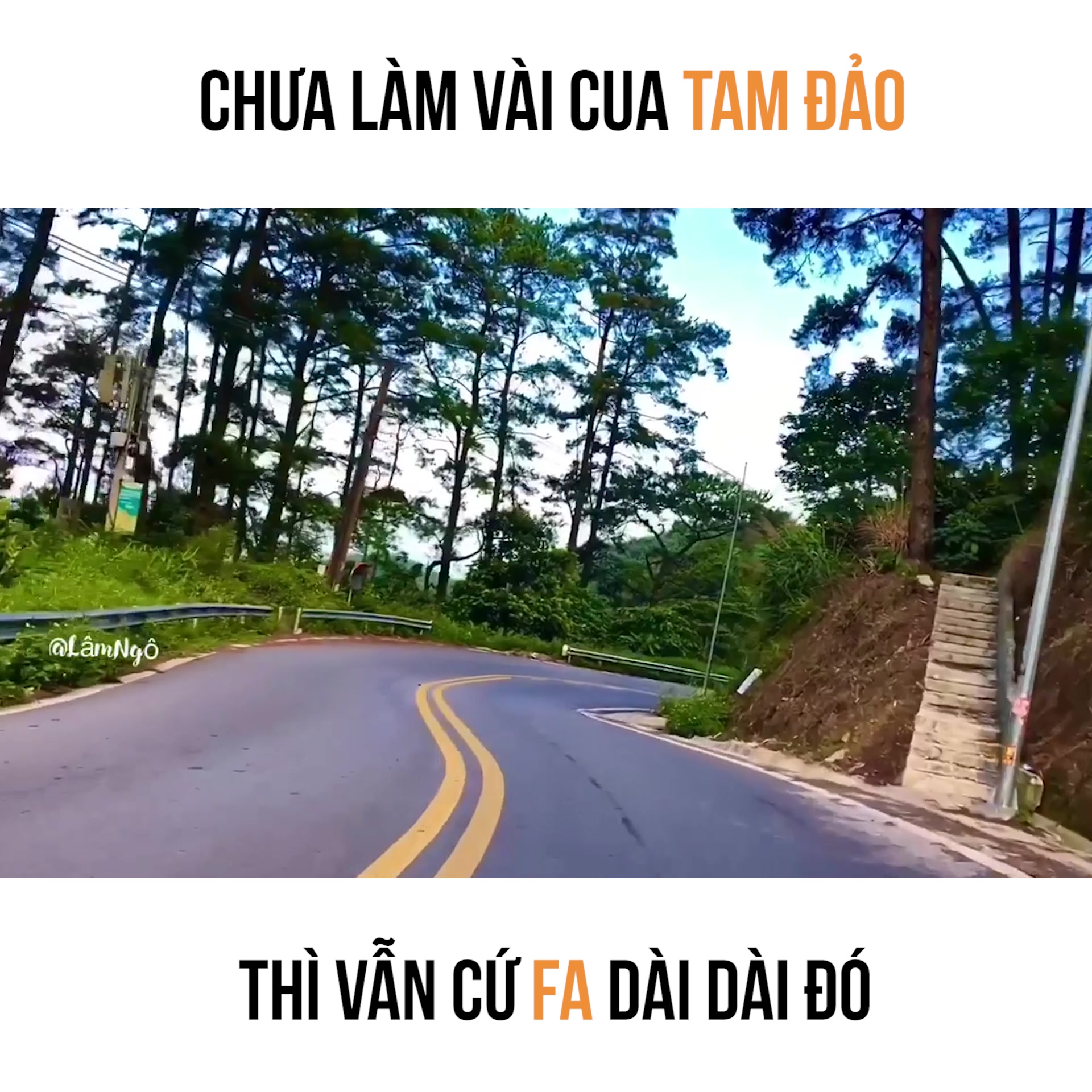 @Halo Vietnam