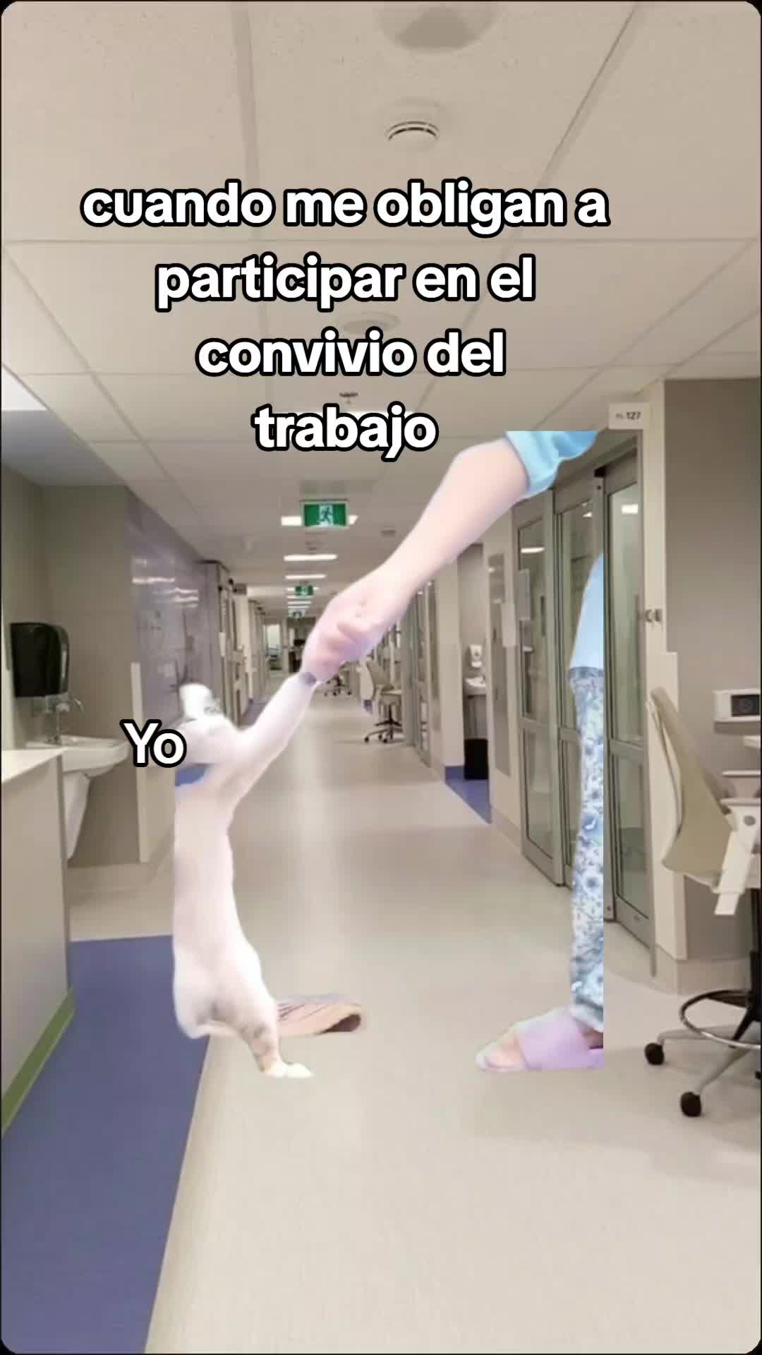 @AdultoChiquito