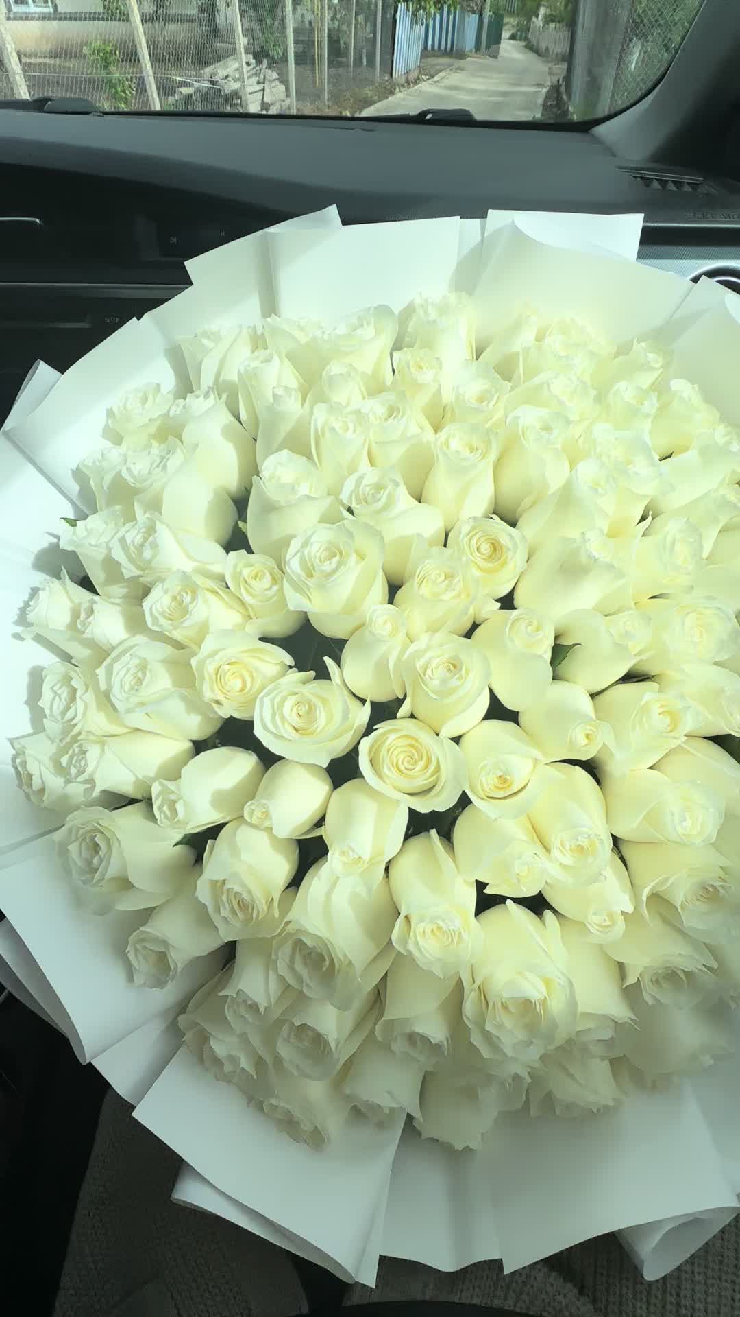 @Terraflorra Chișinău