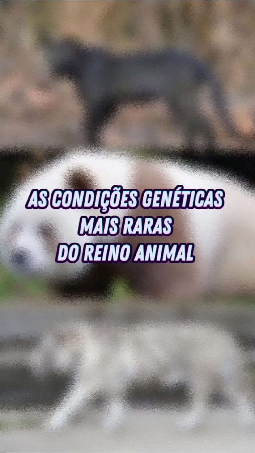 @Curiosidades sobre Biologia