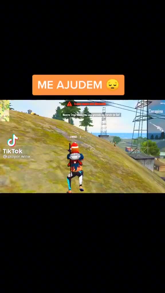 @brunooamarall