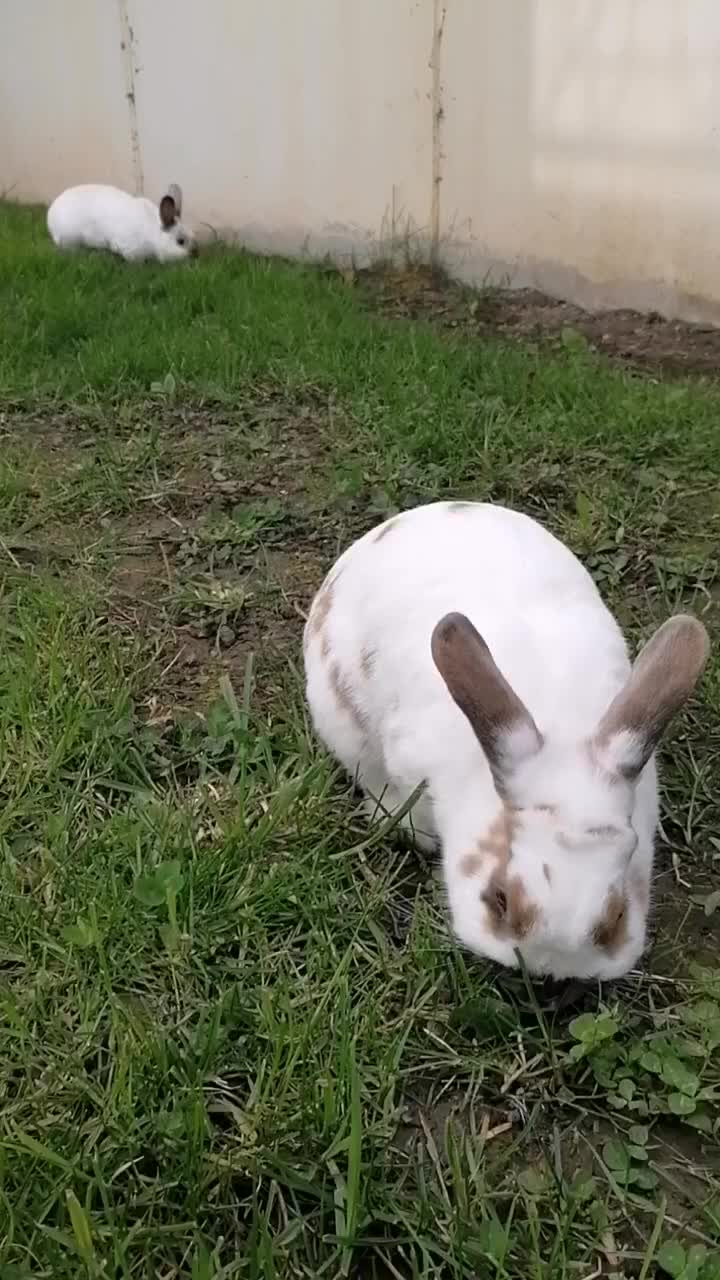 @✌︎
