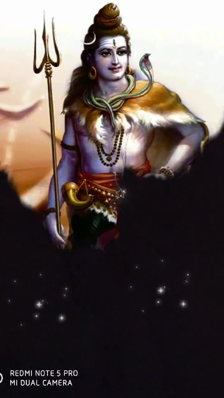 @riddhibhardwaj1315