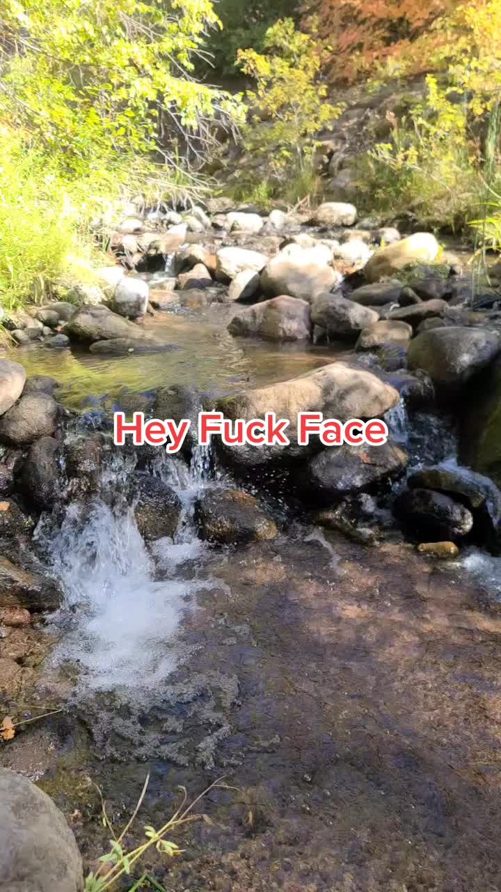 @Wild_Hellbilly_Ways