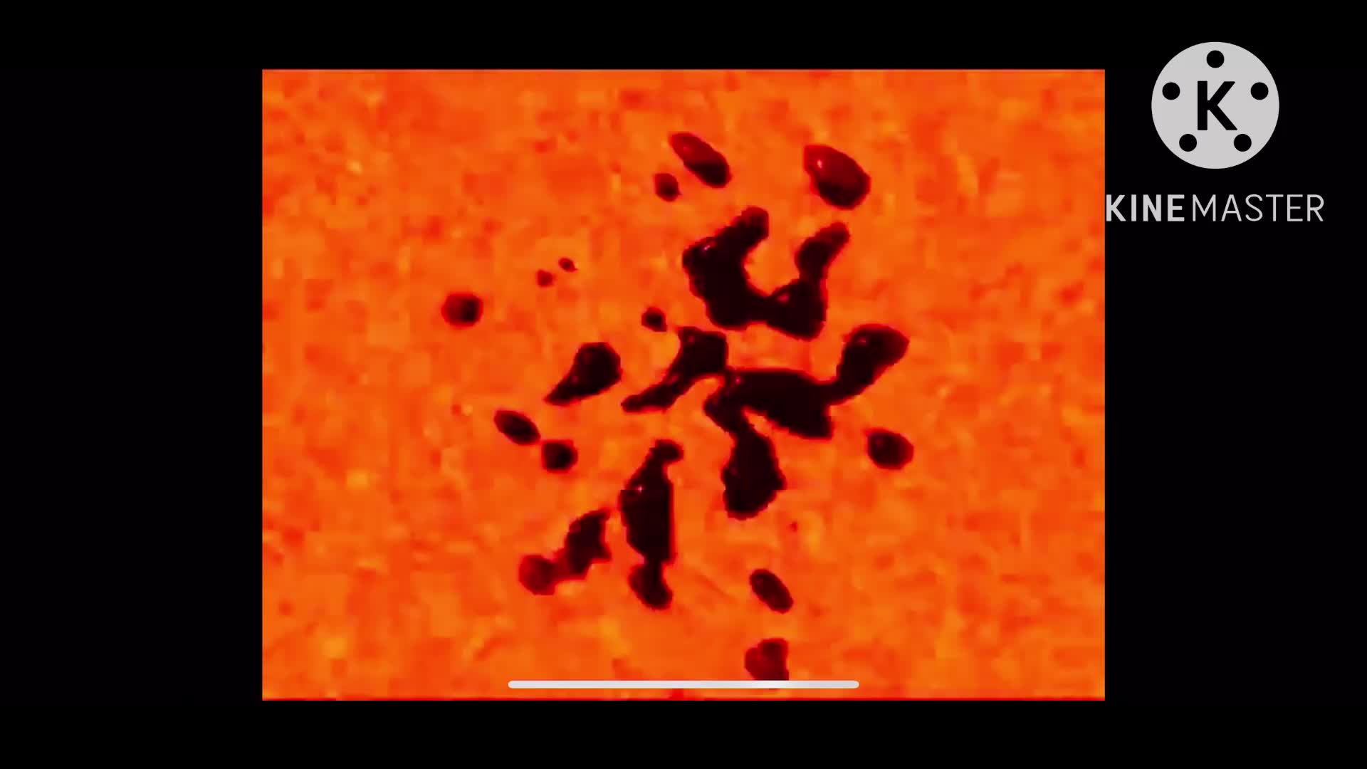 @klaskycsupo287