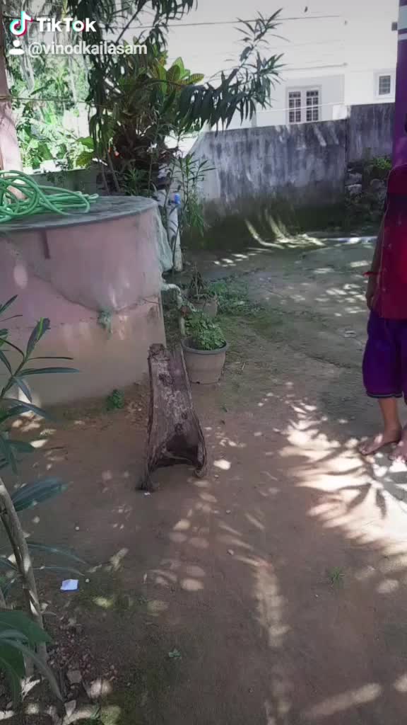 @Vinod Kailasam