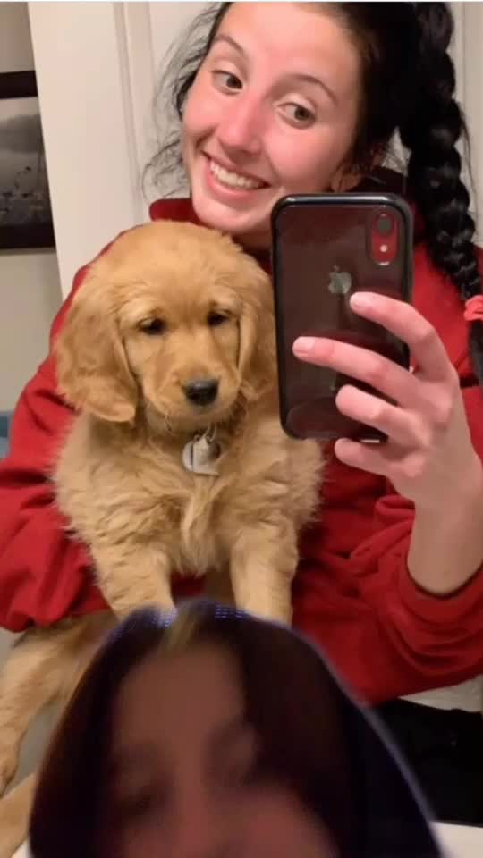 @Maddieswamp