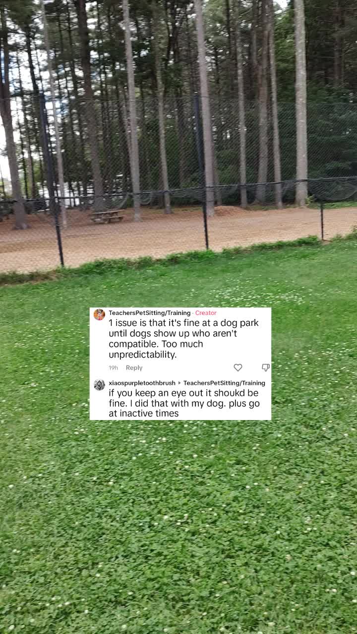 @TeachersPetSitting