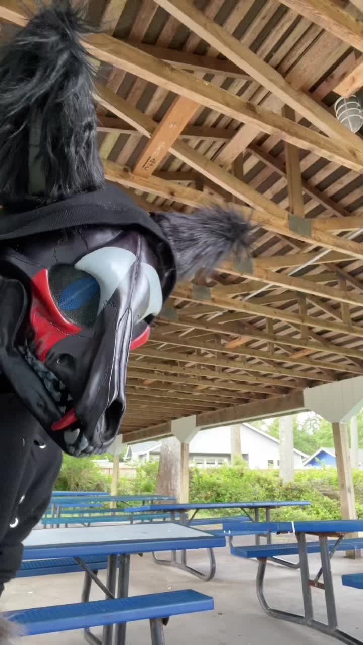 @MidnightTheWolf