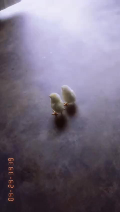 @Ali Zain 121472