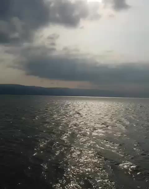 @Ayşe Güler