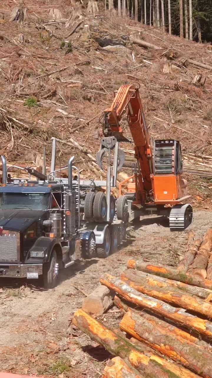 @Hiett logger