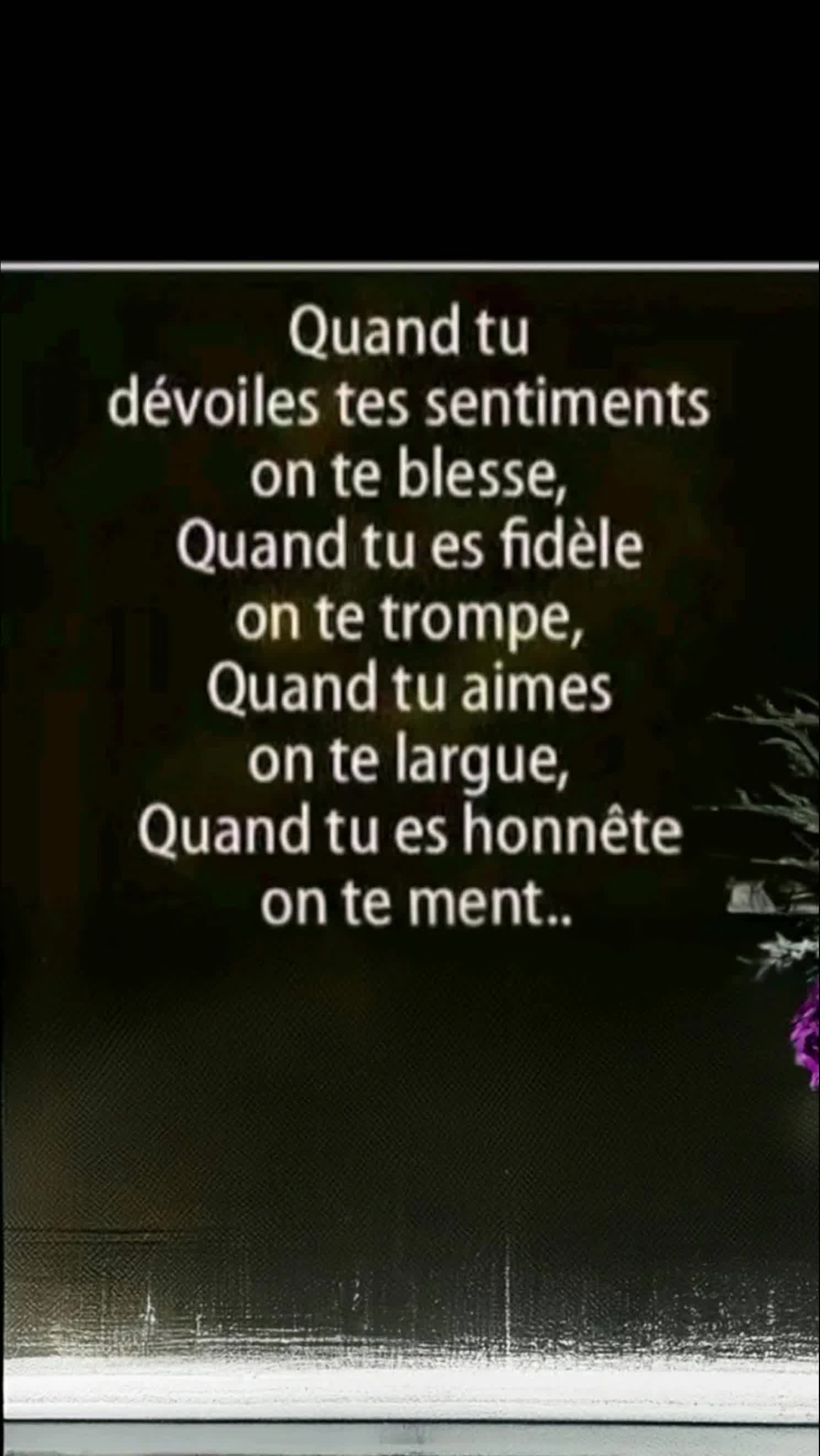 @Diamonts_rose🩷
