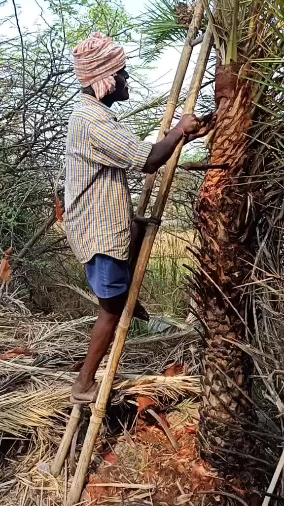 @pruthvirajgoud7674