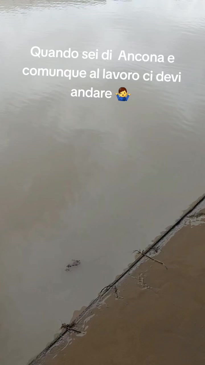 @jo83rio