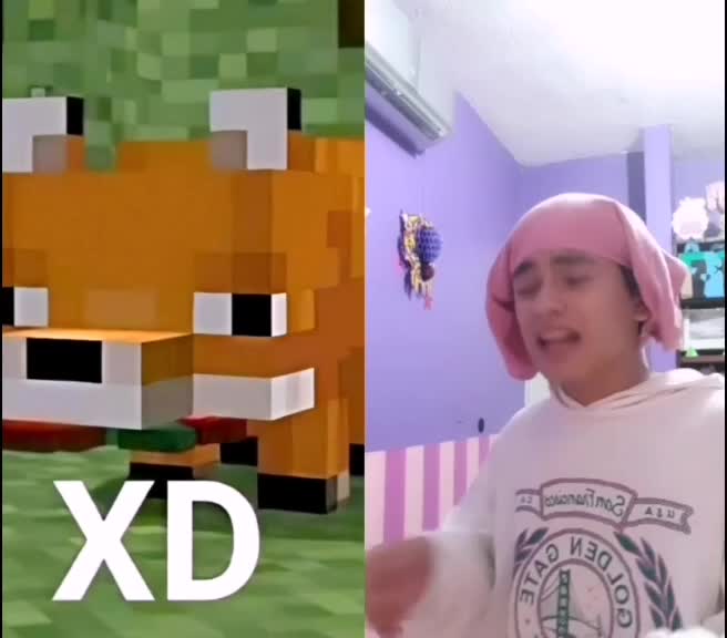 @Zorrito xd 🦊
