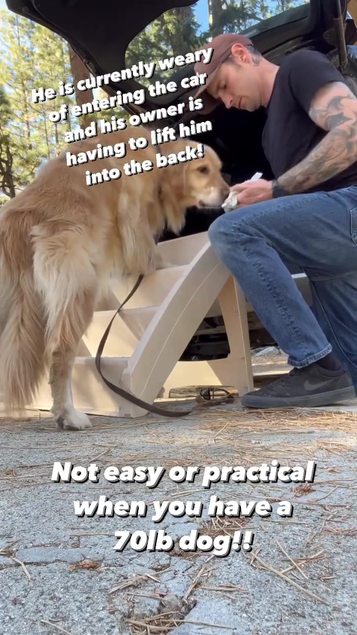 @Prestigious.Pooch