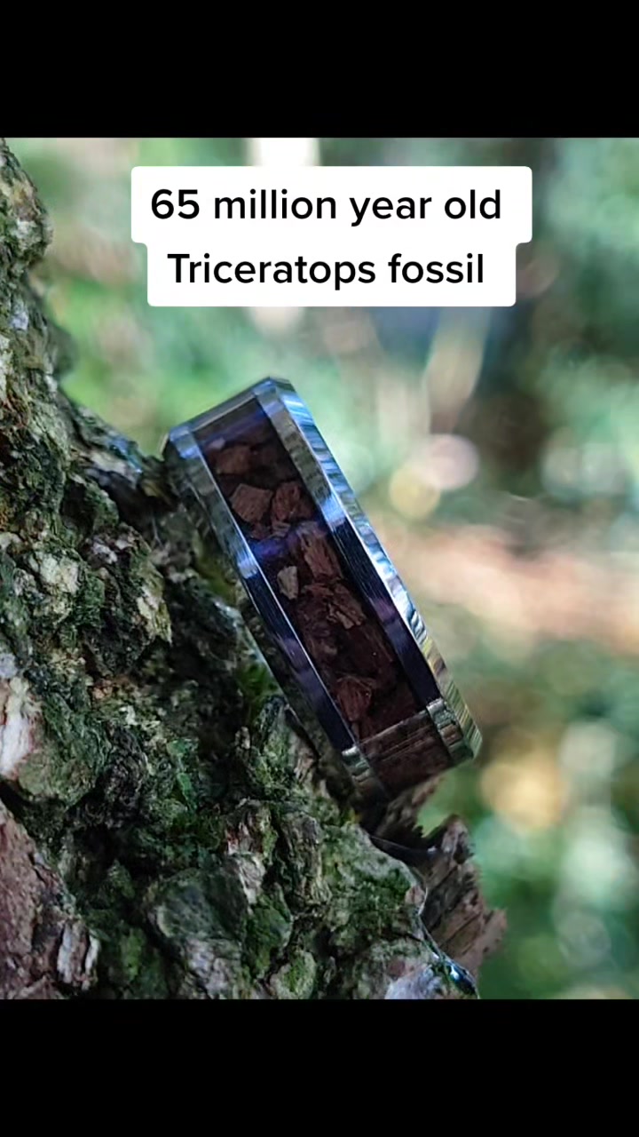 @Falcon Craft Rings