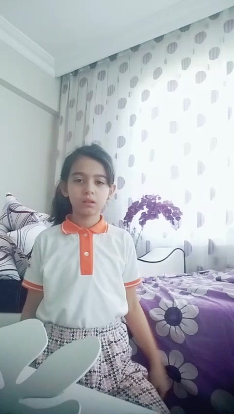 @ruyacar