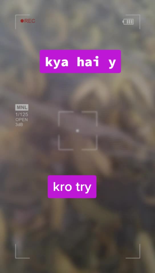 @Mohit Malik