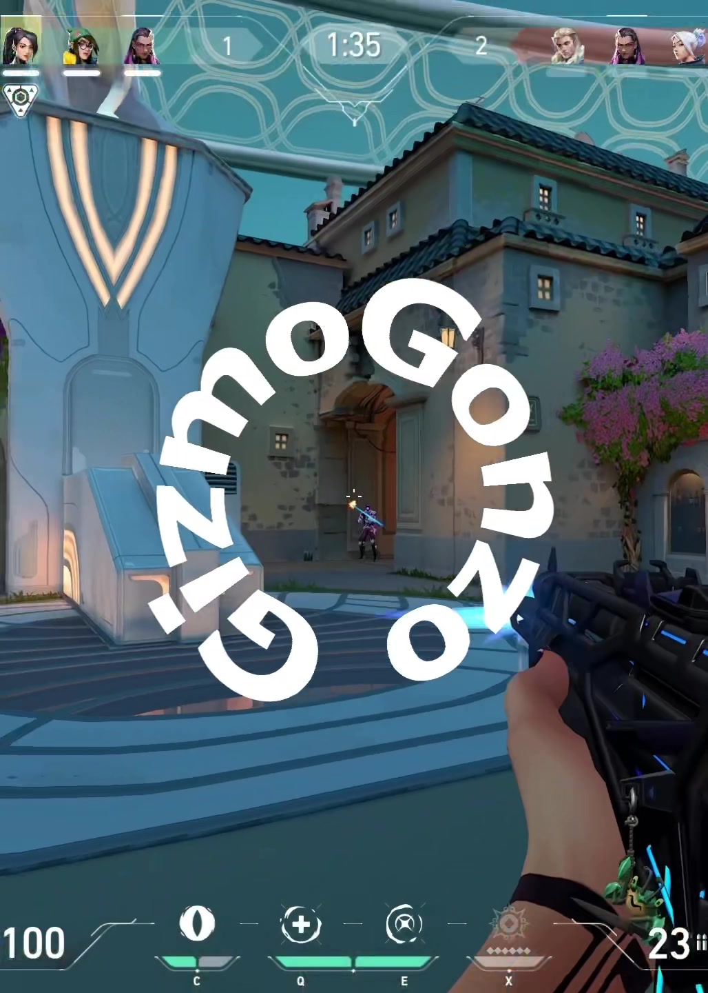 @GizmoGonzo