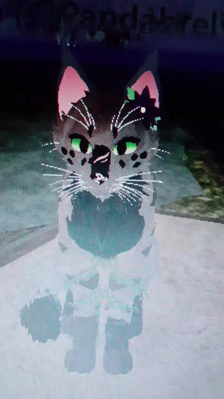 @warrior cats