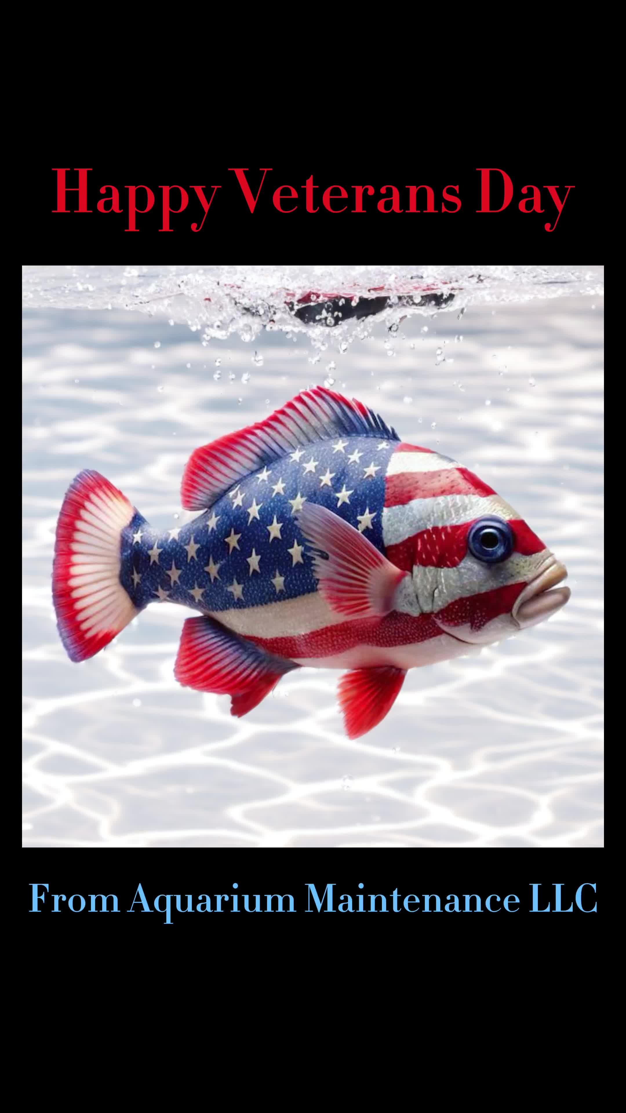 @aquarium_maintenance