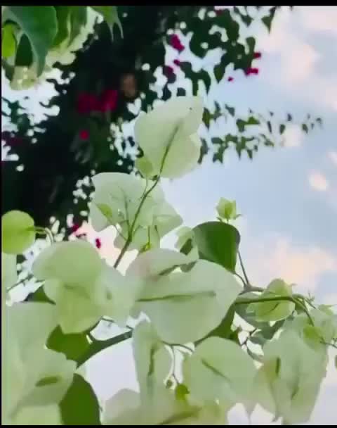@jannatunkhan57@gmail.com