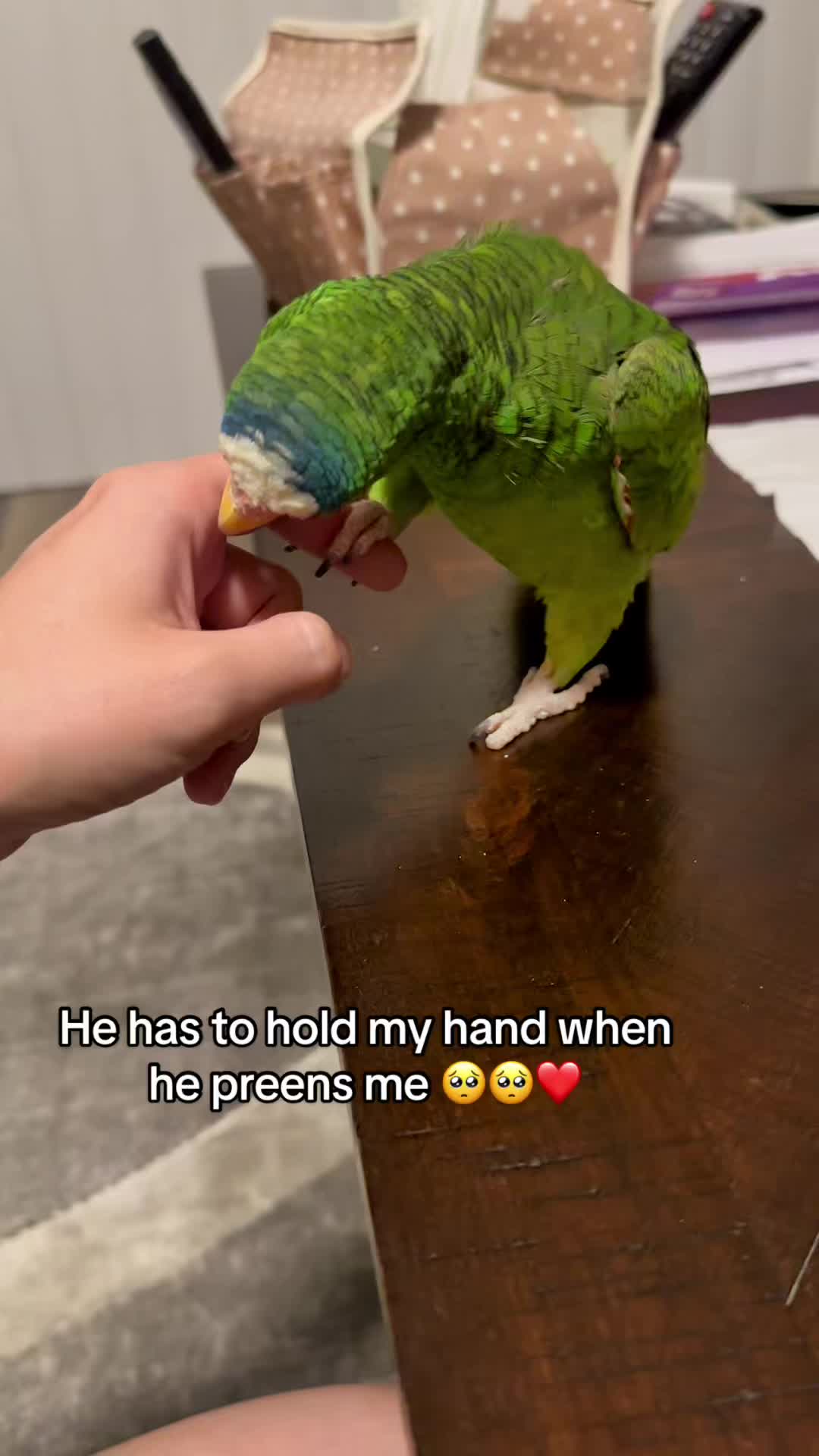 @Peeps