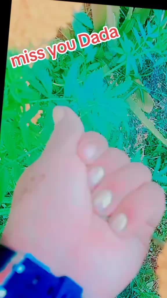 @kanxii 🦋😘🤞❣️