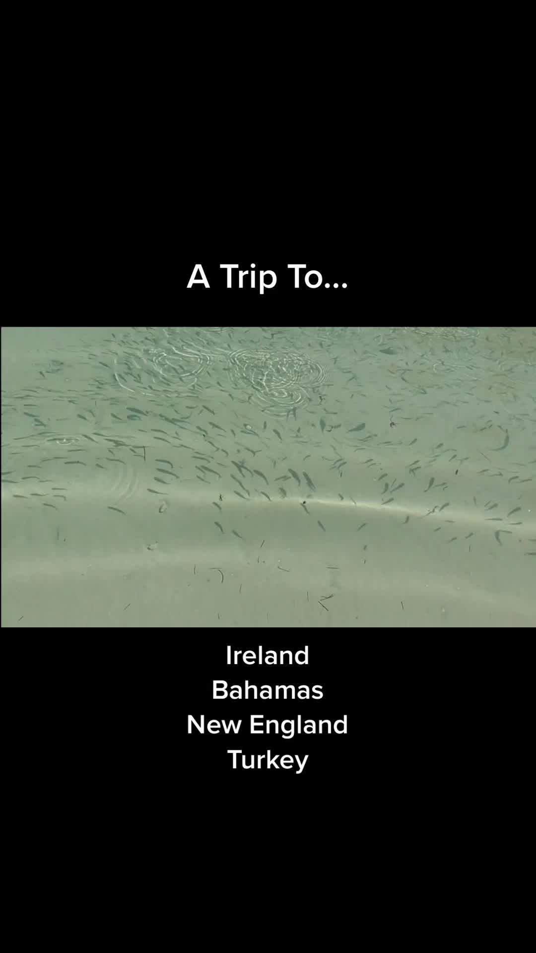 @Let Me Take You on a Journey
