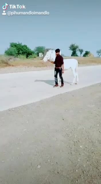 @Shubham Chouhan