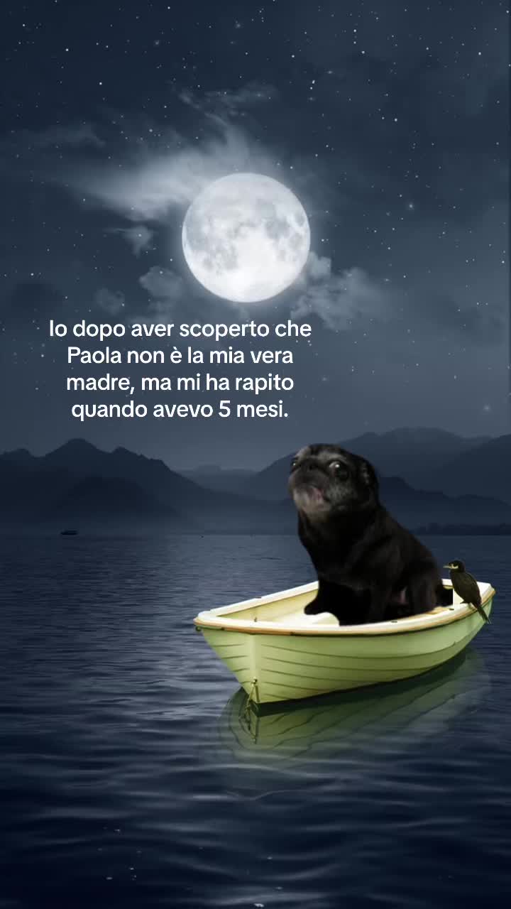 @Paola Sapuppo