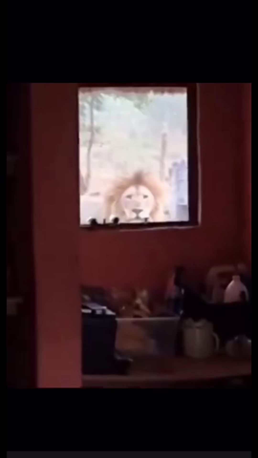 @M3