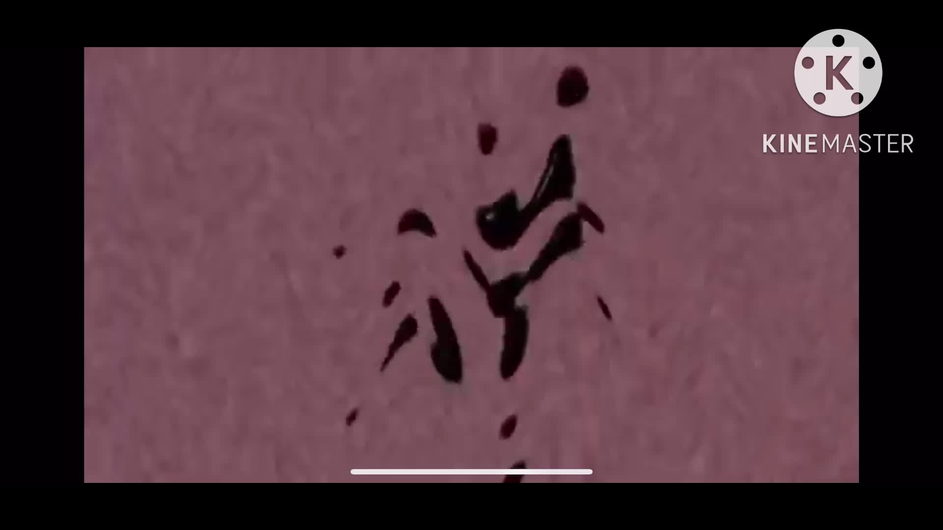 @klaskycsupo287